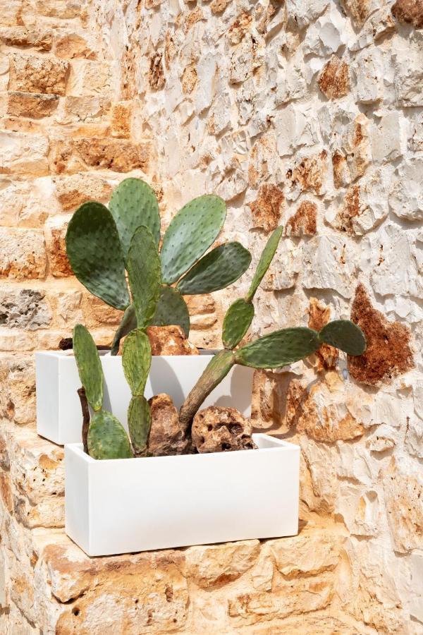 Willa Casa Tonini Ostuni Zewnętrze zdjęcie